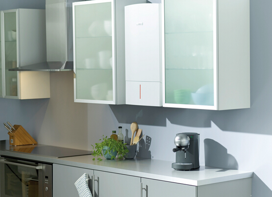 ���ܻ�����Ϊȼ���ڹ�¯�ķ�չ����