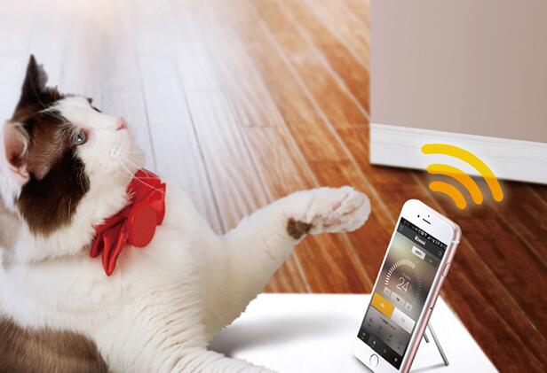 �ڹ�¯�ö�����ͥ�����ܻ���